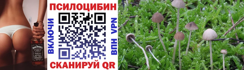 KRAKEN как зайти  Сычёвка  Псилоцибиновые грибы Magic Shrooms 